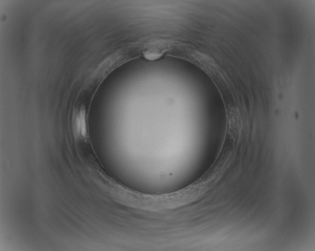 X0000074310046200608251246