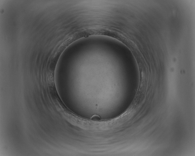 X0000074310048200608251246