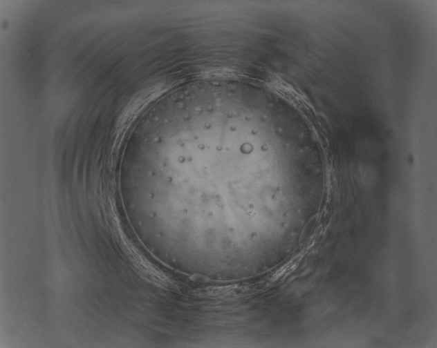 X0000074310049200608251246