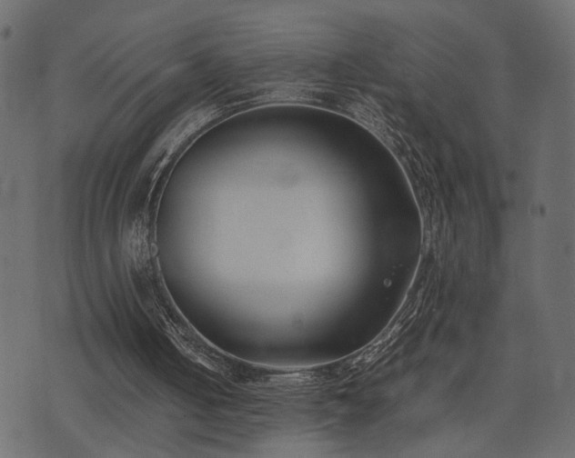 X0000074310050200608251246