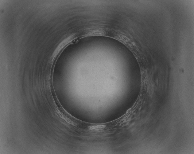 X0000074310051200608251246