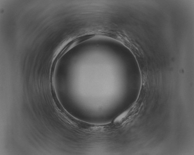 X0000074310052200608251246