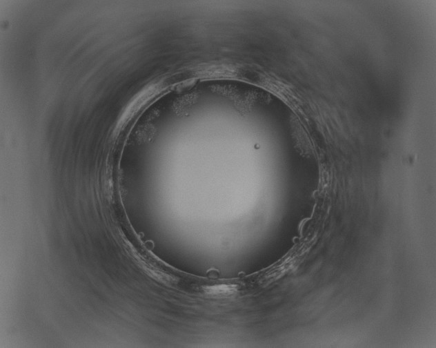 X0000074310053200608251246