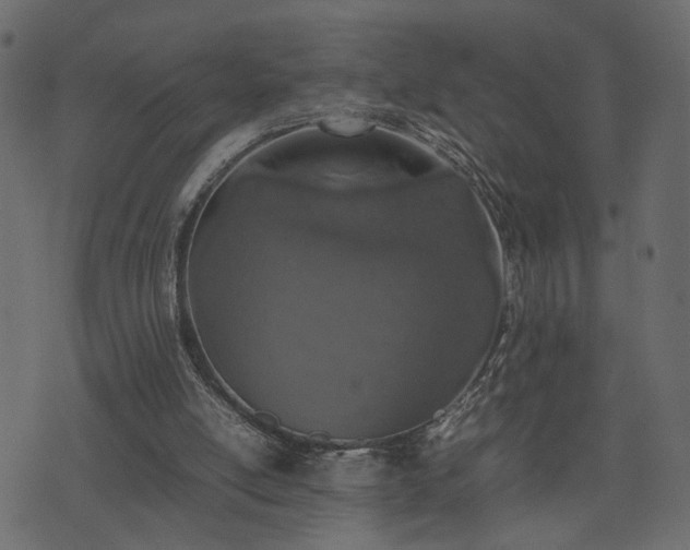 X0000074310054200608251246