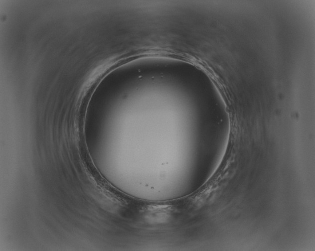 X0000074310055200608251246