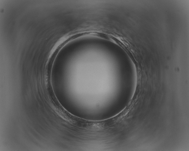 X0000074310056200608251246