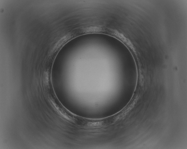 X0000074310057200608251246