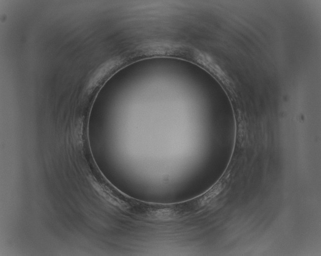 X0000074310058200608251246