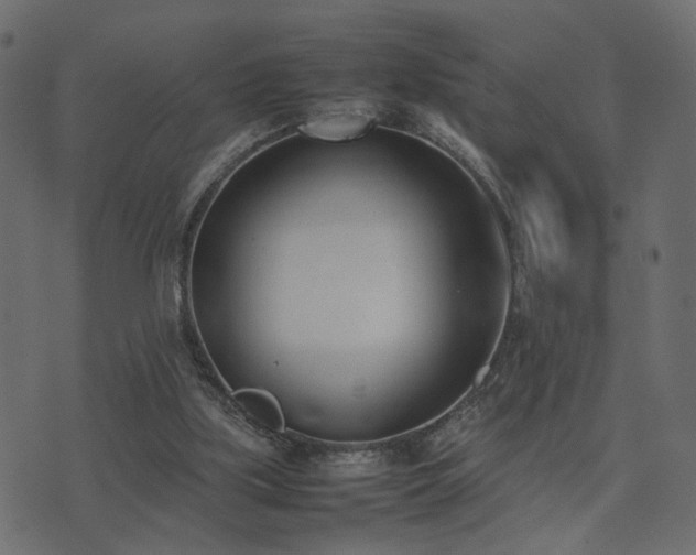 X0000074310059200608251246