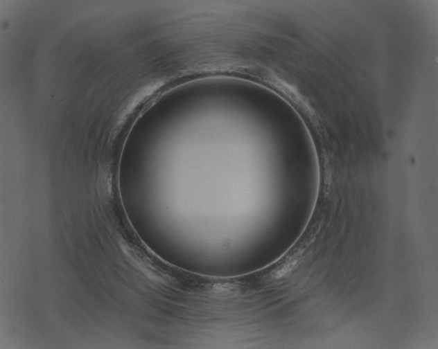 X0000074310060200608251246