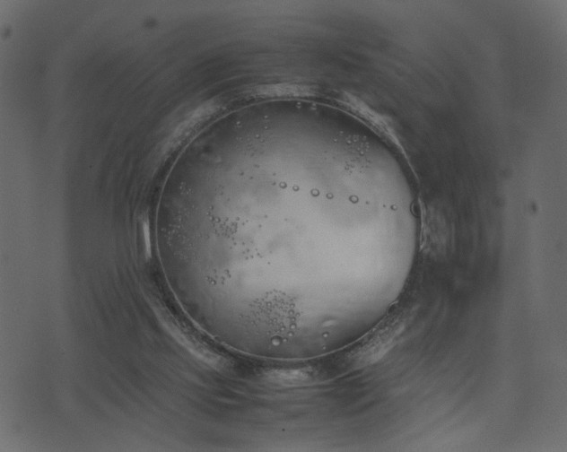 X0000074310061200608251246