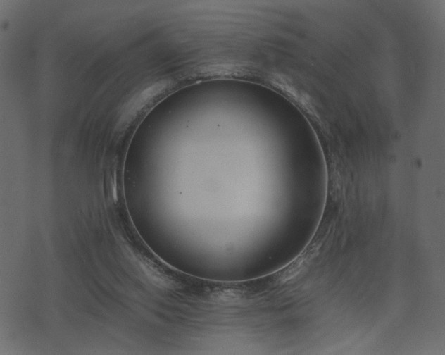 X0000074310062200608251246