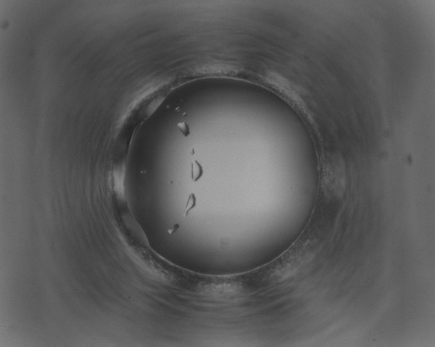 X0000074310063200608251246