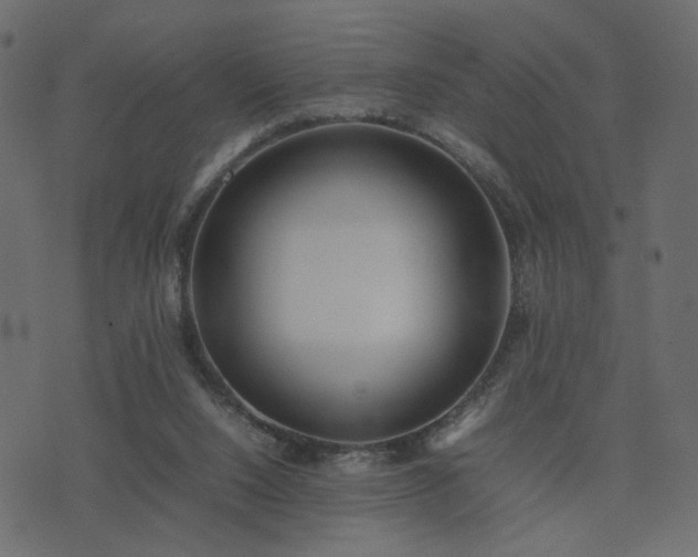 X0000074310064200608251246