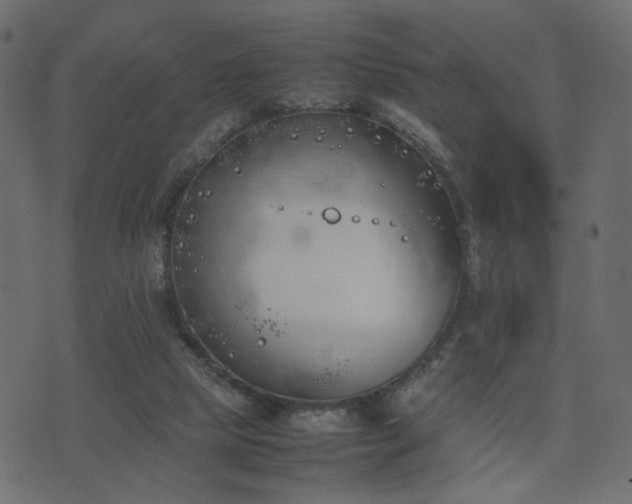 X0000074310065200608251246