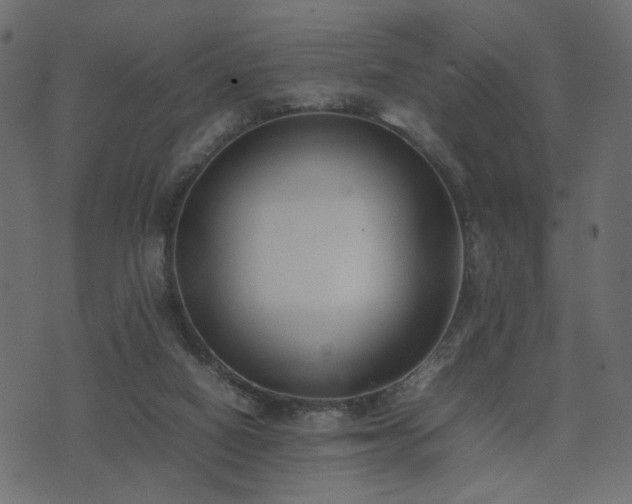 X0000074310066200608251246