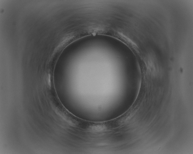 X0000074310067200608251246