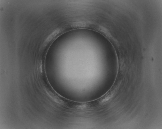 X0000074310068200608251246