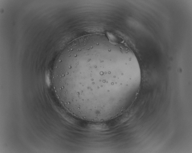 X0000074310069200608251246