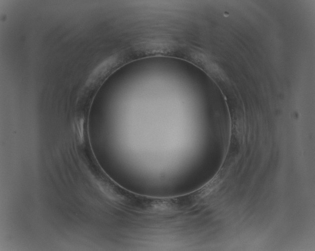 X0000074310070200608251246