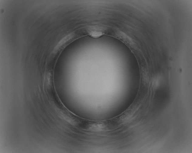 X0000074310071200608251246