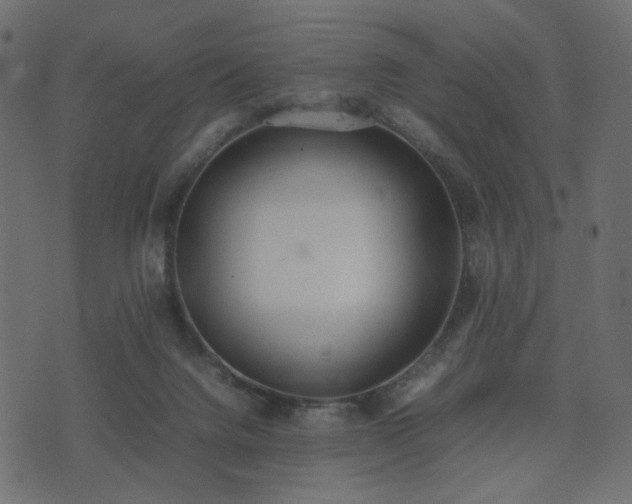 X0000074310072200608251246