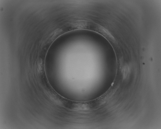 X0000074310073200608251246