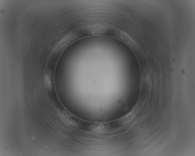 X0000074310074200608251246