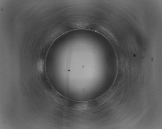 X0000074310075200608251246