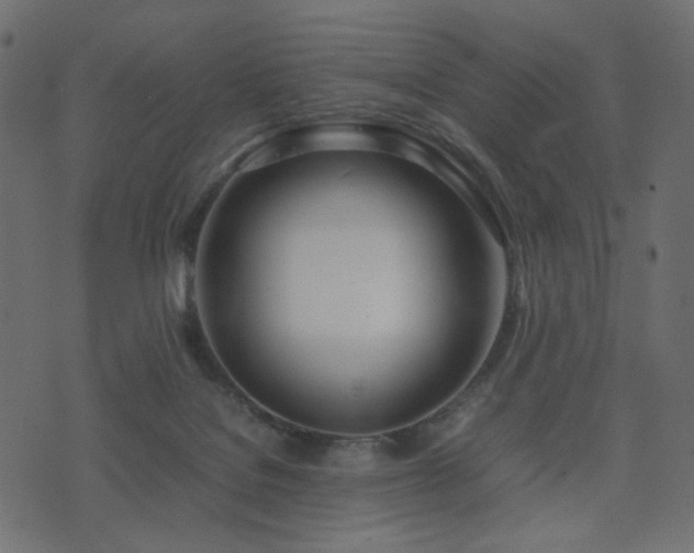 X0000074310076200608251246