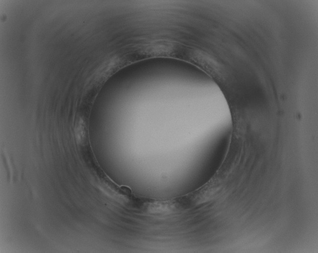 X0000074310077200608251246