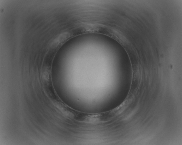 X0000074310078200608251246