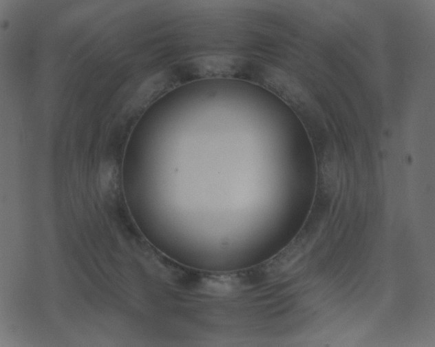 X0000074310079200608251246