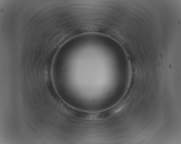 X0000074310080200608251246