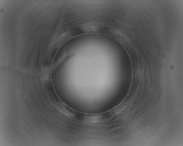 X0000074310081200608251246