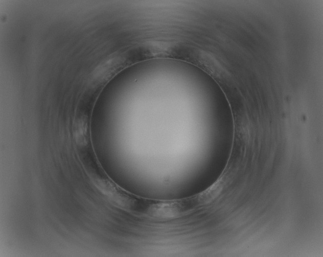 X0000074310082200608251246