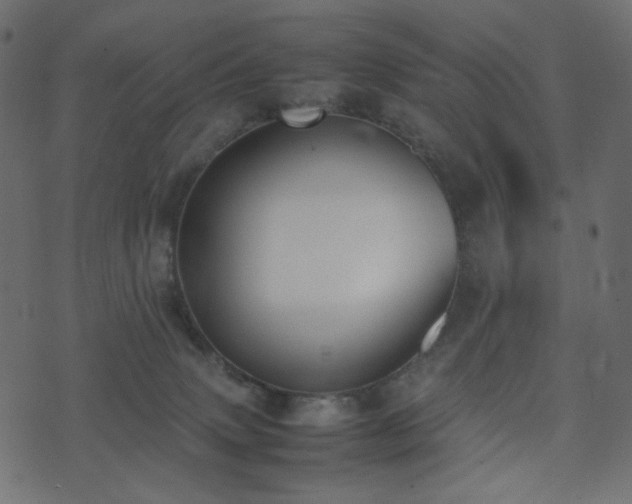 X0000074310083200608251246