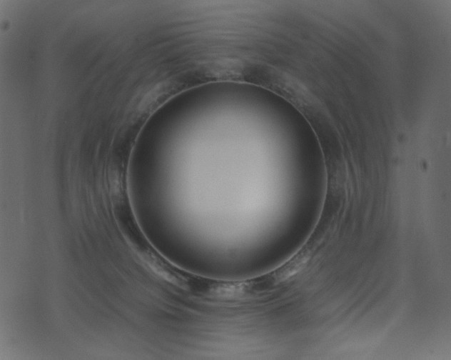 X0000074310084200608251246