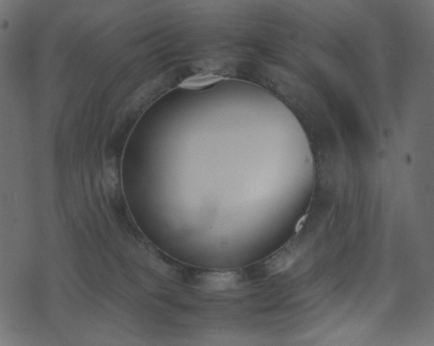 X0000074310085200608251246