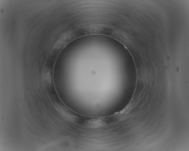 X0000074310086200608251246