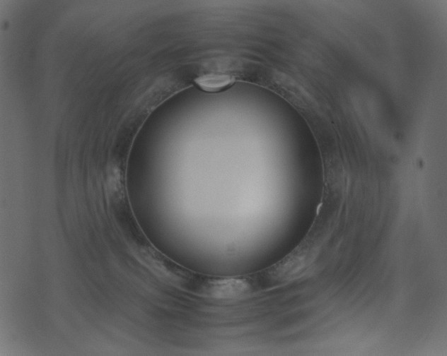 X0000074310087200608251246