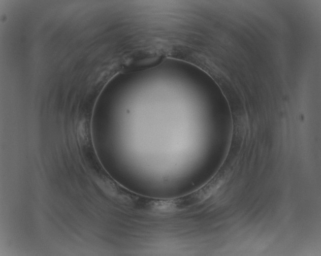 X0000074310088200608251246