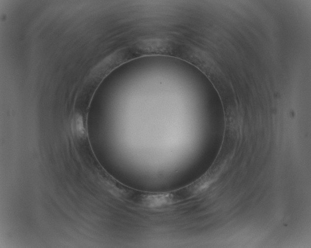 X0000074310089200608251246