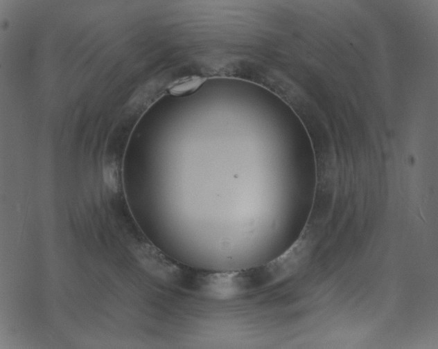 X0000074310090200608251246