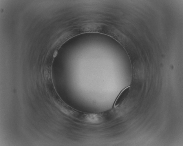 X0000074310091200608251246