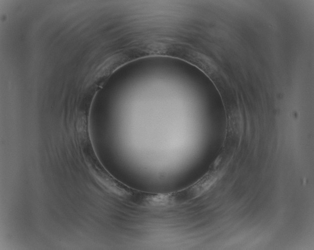 X0000074310092200608251246