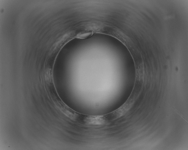 X0000074310093200608251246