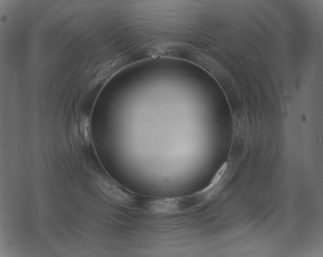 X0000074310094200608251246