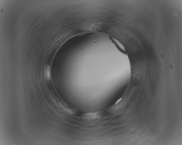 X0000074310095200608251246