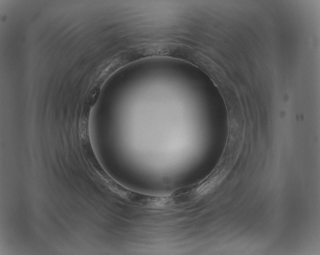 X0000074310096200608251246